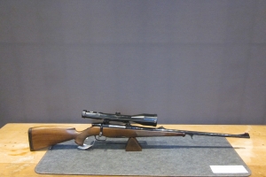 Steyr Manlicher
